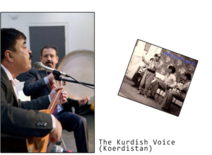 the kurdish voice