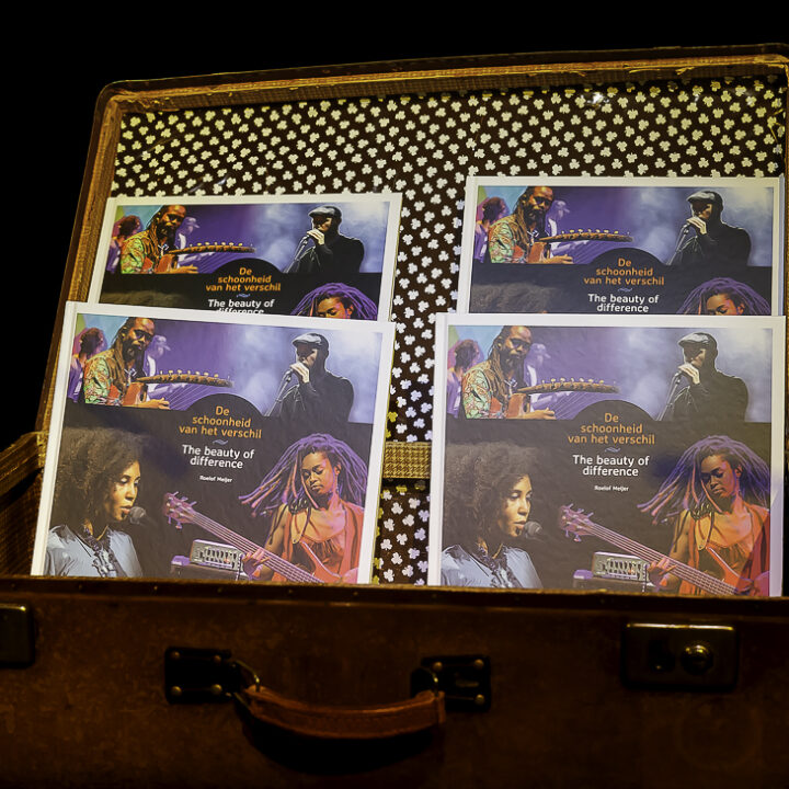 schoonheid van het verschil boek
